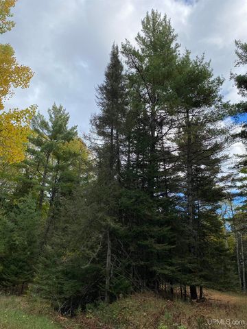TBD East Stonington Aa.5 Road, Rapid River, MI 49878