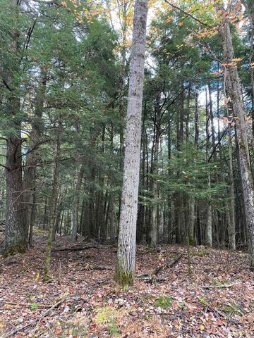 TBD East Stonington Aa.5 Road, Rapid River, MI 49878