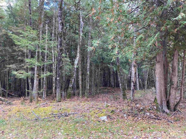 TBD East Stonington Aa.5 Road, Rapid River, MI 49878