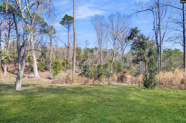 702 Hope Ferry Road, Lexington, SC 29072