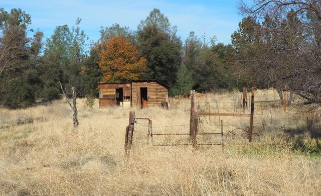 21705 S Powerhouse Road, Manton, CA 96059