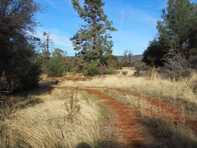 21705 S Powerhouse Road, Manton, CA 96059