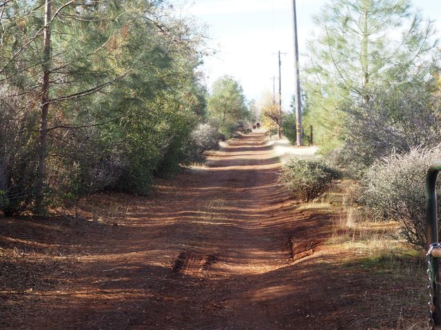 21705 S Powerhouse Road, Manton, CA 96059