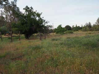 21705 S Powerhouse Road, Manton, CA 96059