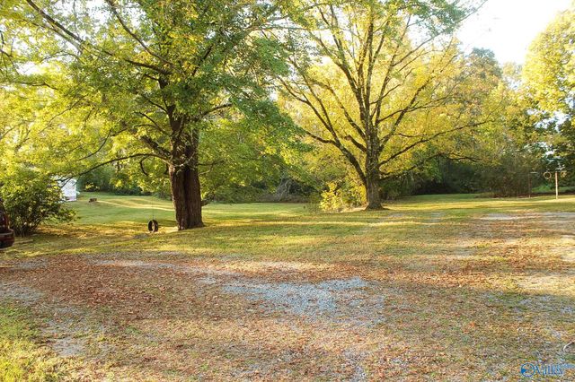 314 West Avenue, Sylvania, AL 35988