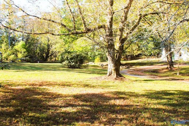 314 West Avenue, Sylvania, AL 35988