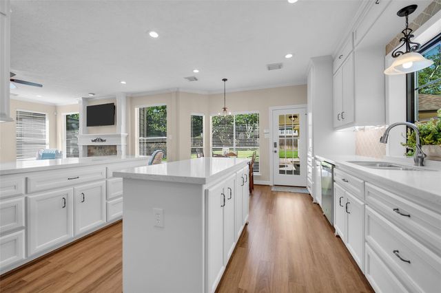 1238 Willow Branch Drive, League City, TX 77573