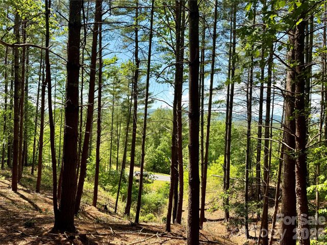 Lot 104 Johns Ridge Parkway 104, Lenoir, NC 28645