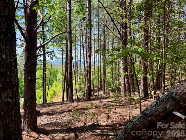 Lot 104 Johns Ridge Parkway 104, Lenoir, NC 28645