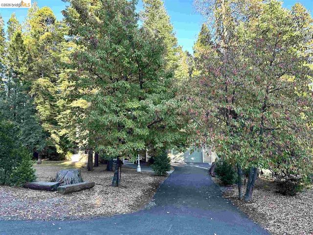 19232 Highlander, Twain Harte, CA 95383