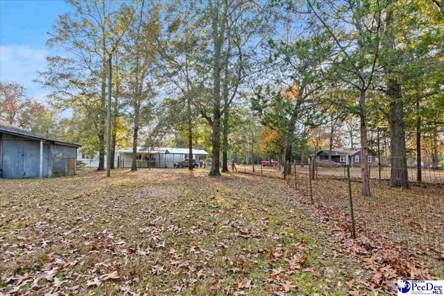 3525 Springville, Marion, SC 29571