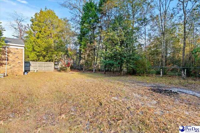 3525 Springville, Marion, SC 29571