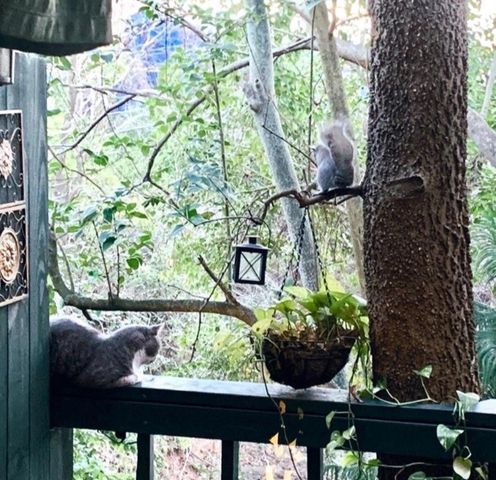 8225 Kingsbrook Road 119, Houston, TX 77024