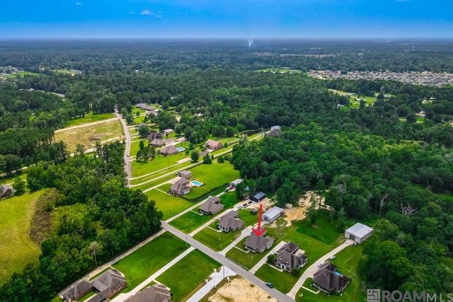 34951 Clinton Allen Rd, Denham Springs, LA 70706