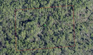 LAKE HARNEY ROAD, Osteen, FL 32764