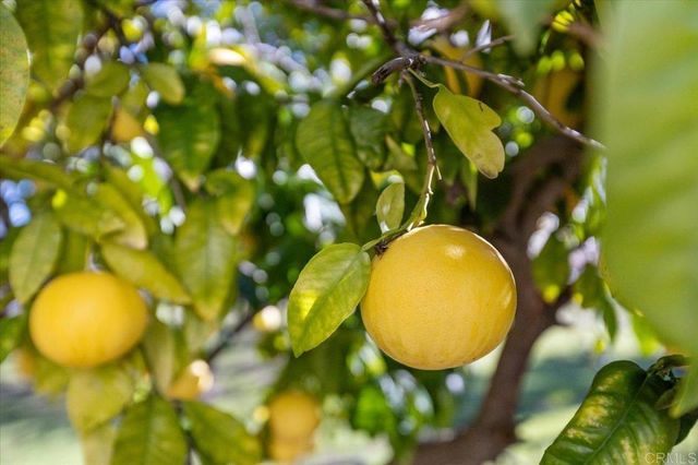 1762 Arroyo, Escondido, CA 92026