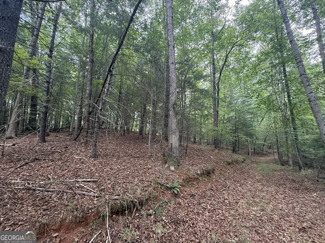0 Yahoola Indian Trail, Dahlonega, GA 30533