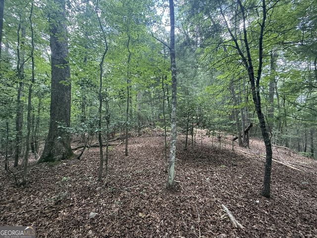 0 Yahoola Indian Trail, Dahlonega, GA 30533