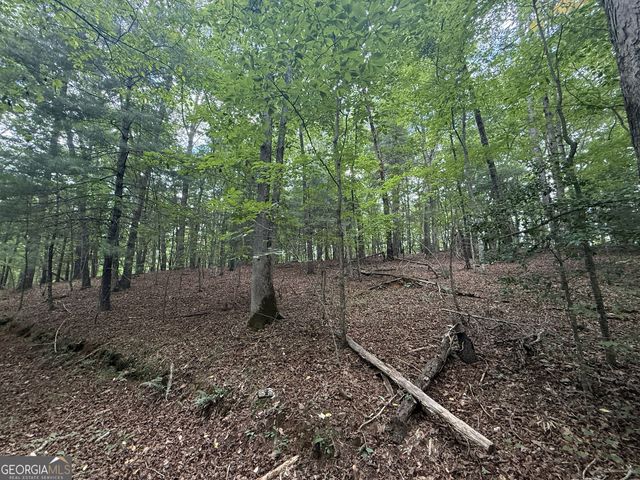 0 Yahoola Indian Trail, Dahlonega, GA 30533