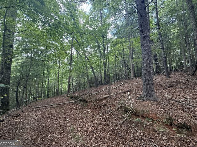 0 Yahoola Indian Trail, Dahlonega, GA 30533