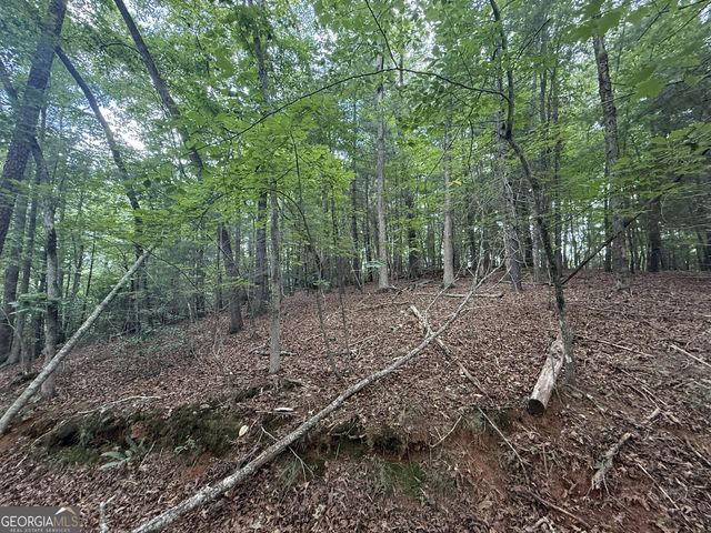 0 Yahoola Indian Trail, Dahlonega, GA 30533