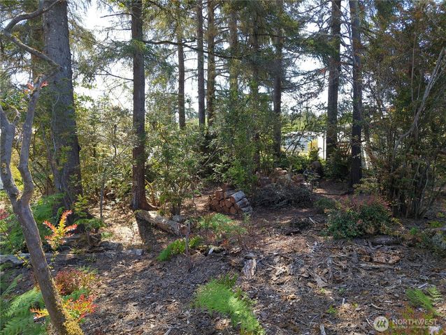 2100 266th Place, Ocean Park, WA 98640