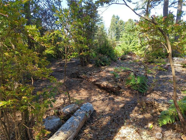 2100 266th Place, Ocean Park, WA 98640