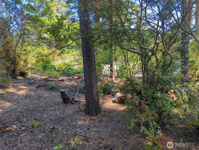 2100 266th Place, Ocean Park, WA 98640