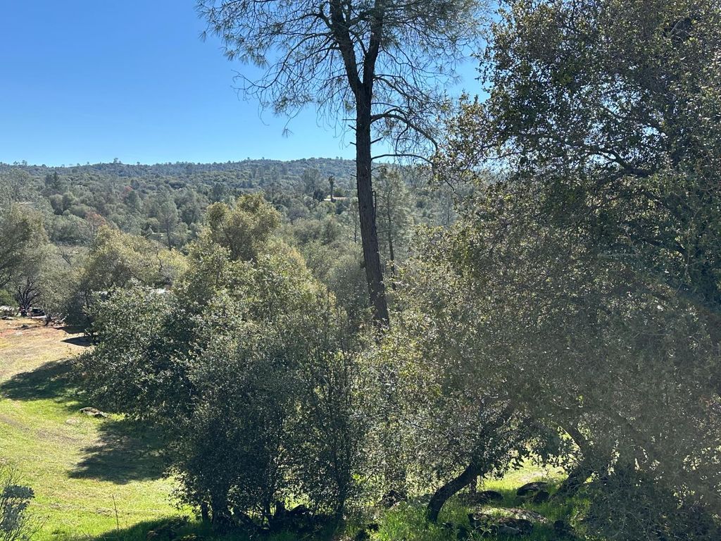 Image 27 of property listing at 32003 Shah Court, Coarsegold, CA 93614