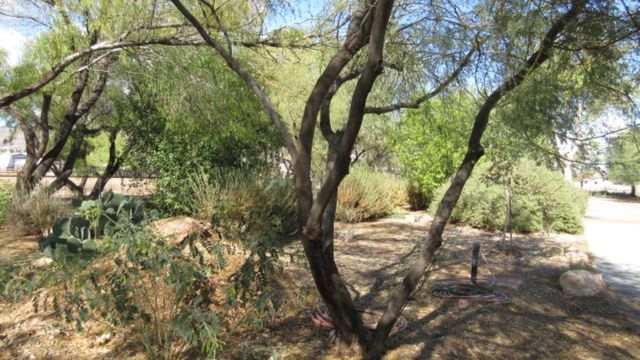 1929 E Morrow Avenue, Kingman, AZ 86409