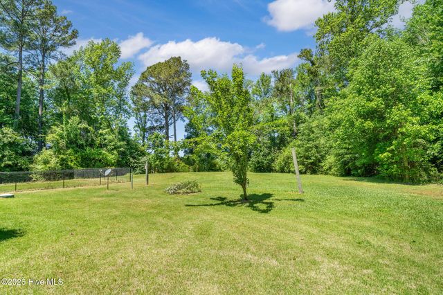 460 Upland Road, Willard, NC 28478