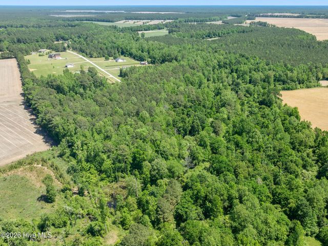 460 Upland Road, Willard, NC 28478