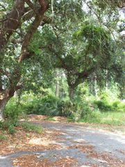 000 Eventide Rd, Milton, FL 32583