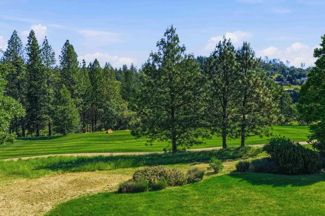 17107 Winchester Club Dr, Meadow Vista, CA 95722