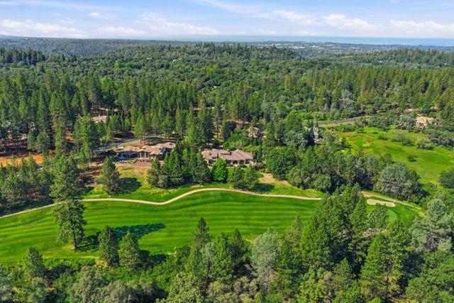 17107 Winchester Club Dr, Meadow Vista, CA 95722