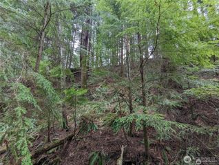 14 Black Bear Court #A, Bellingham, WA 98229