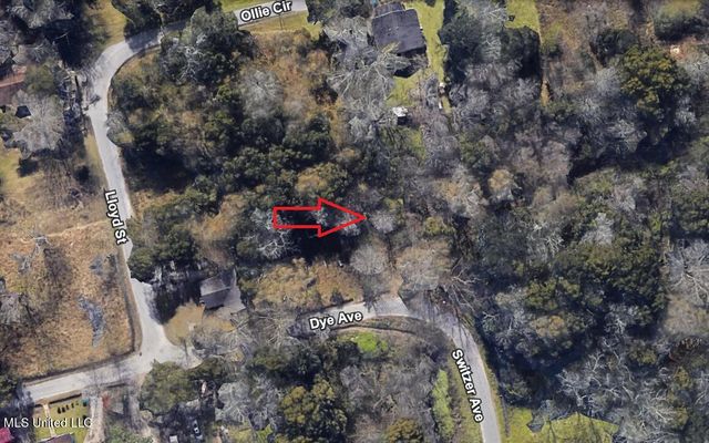 0 Dye Avenue, Moss Point, MS 39563