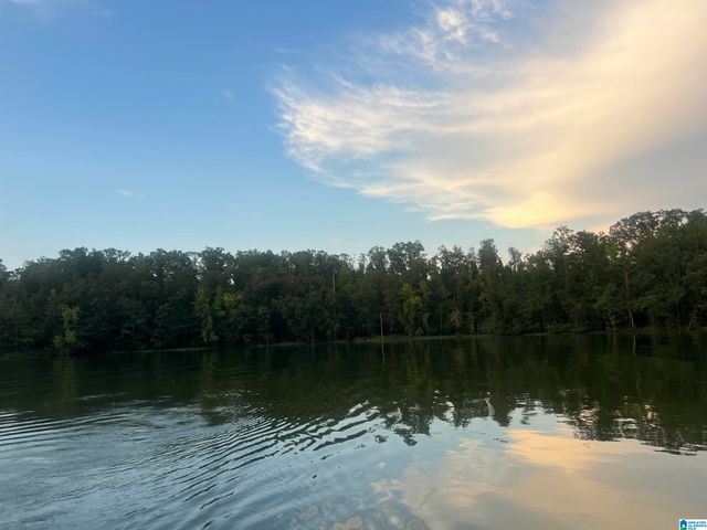 0 BIG MITTEN LANE, Lincoln, AL 35096