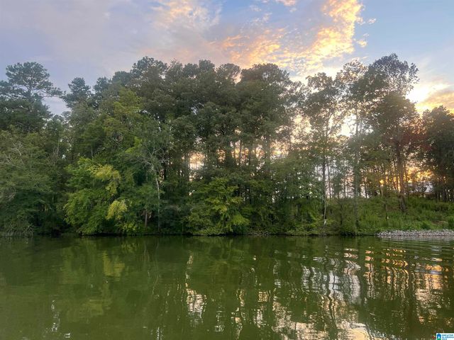 0 BIG MITTEN LANE, Lincoln, AL 35096