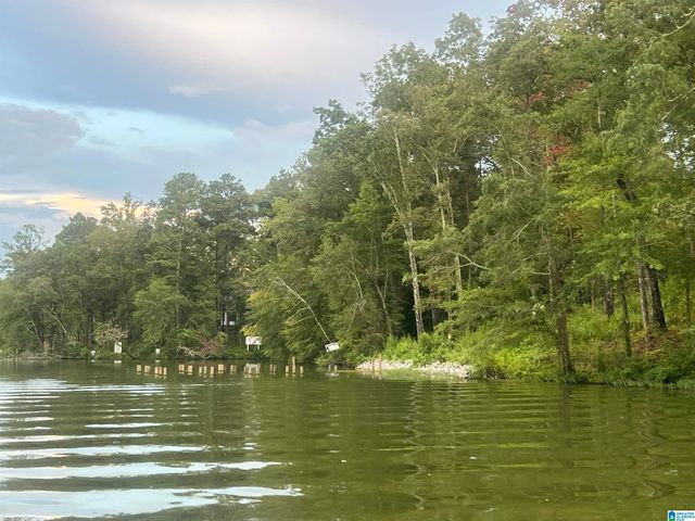 0 BIG MITTEN LANE, Lincoln, AL 35096