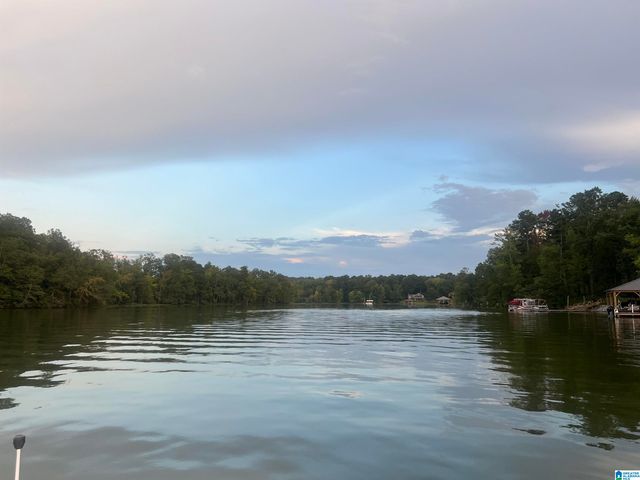 0 BIG MITTEN LANE, Lincoln, AL 35096