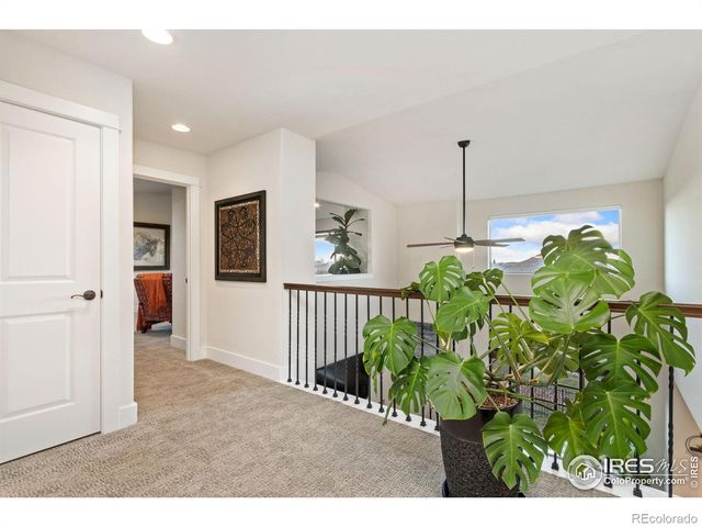 6682 Crooked Stick Drive, Windsor, CO 80550