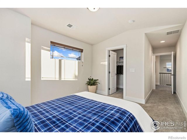 6682 Crooked Stick Drive, Windsor, CO 80550