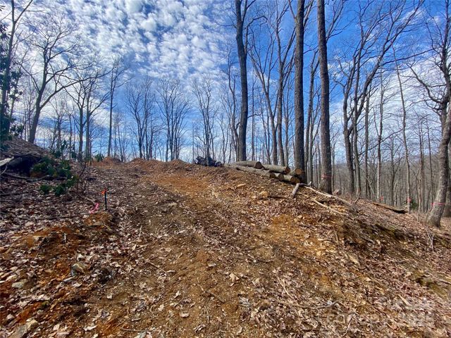TBD Old chestnut mountain Road, Newland, NC 28657