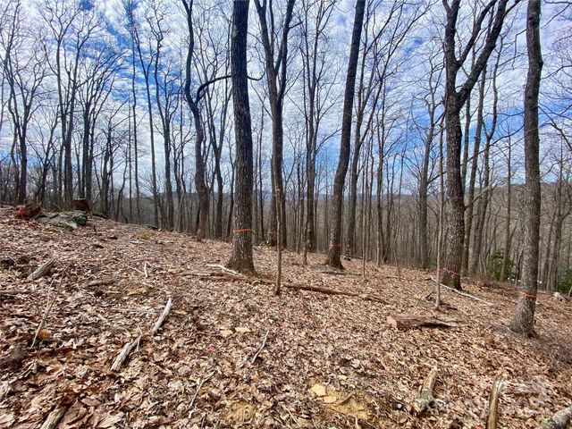 TBD Old chestnut mountain Road, Newland, NC 28657