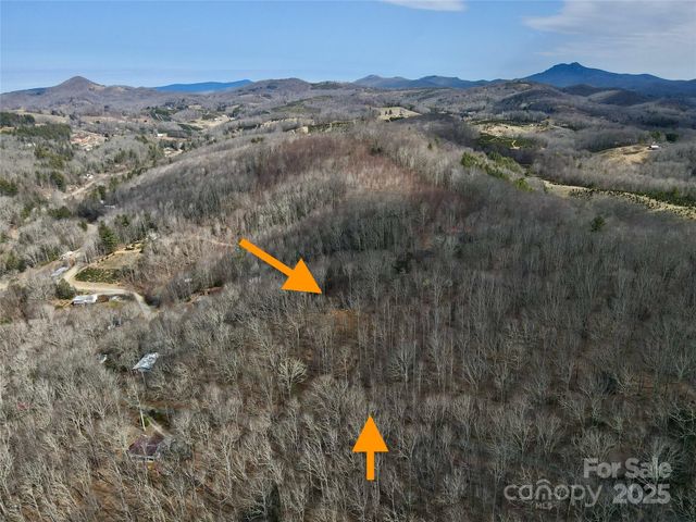 TBD Old chestnut mountain Road, Newland, NC 28657
