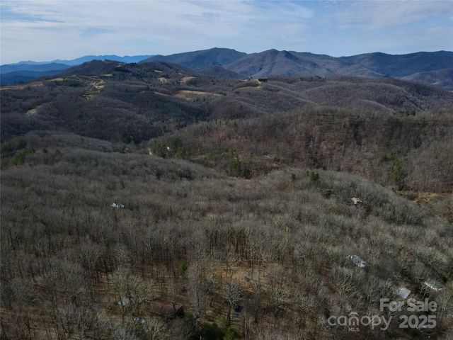 TBD Old chestnut mountain Road, Newland, NC 28657