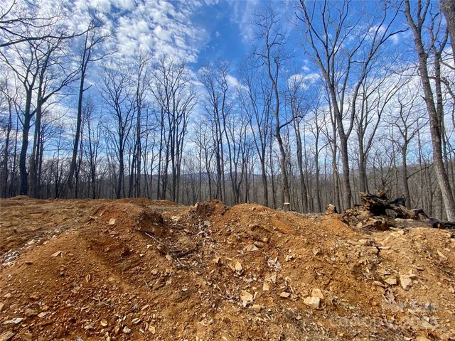 TBD Old chestnut mountain Road, Newland, NC 28657
