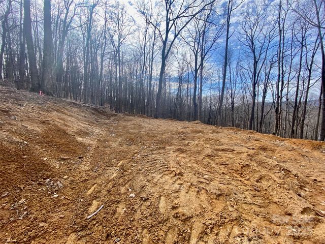 TBD Old chestnut mountain Road, Newland, NC 28657