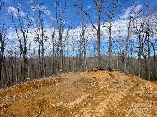 TBD Old chestnut mountain Road, Newland, NC 28657